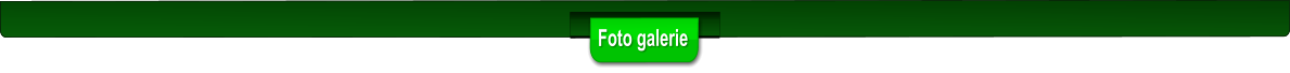 Foto galerie